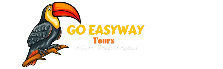 GO Easy way tours