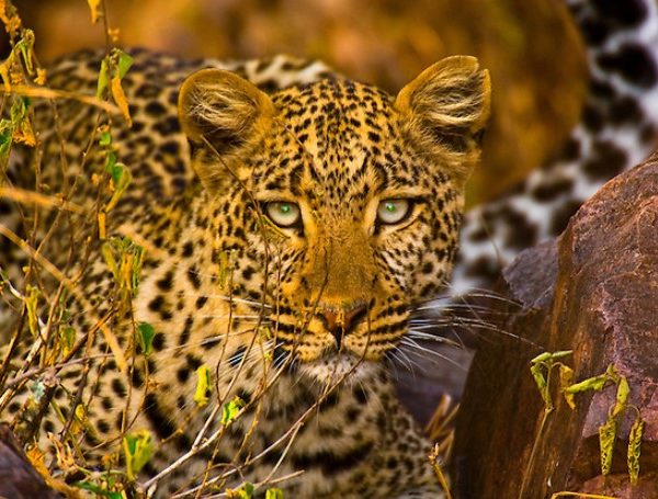 7 days safaris tours