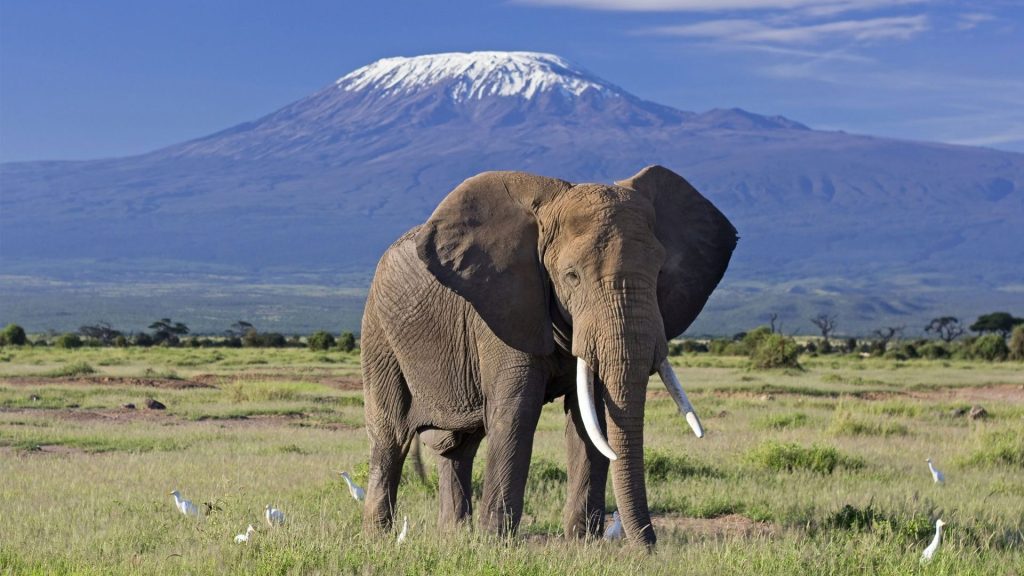 6-Day Best Kenya Safari Tour