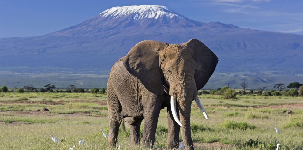 6-Day Best Kenya Safari Tour