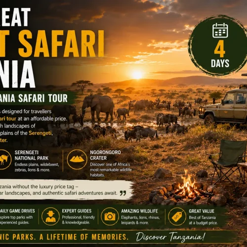 4 Days Great Budget Safari Tanzania