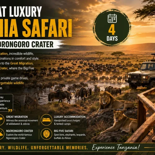 4 Days Great Luxury Tanzania Safari – Serengeti & Ngorongoro Crater