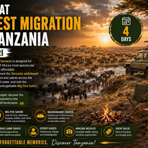 4 Days Great Wildebeest Migration Safari Tanzania – Big Five Safari