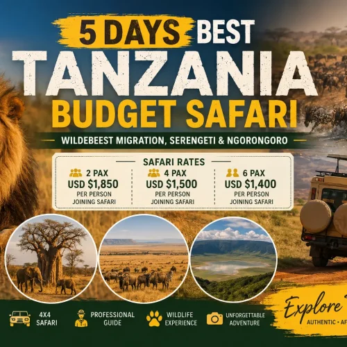 5 Days Best Tanzania Budget Safari
