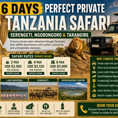6 Days Perfect Private Tanzania Safari